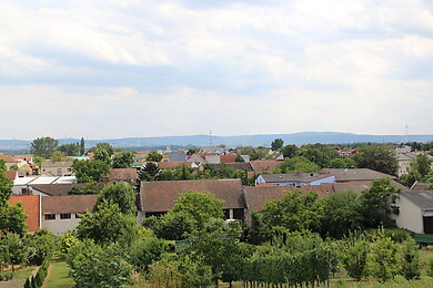 Reisenberg