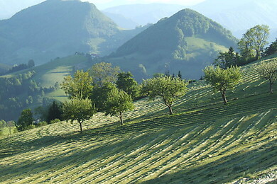 Maria Neustift