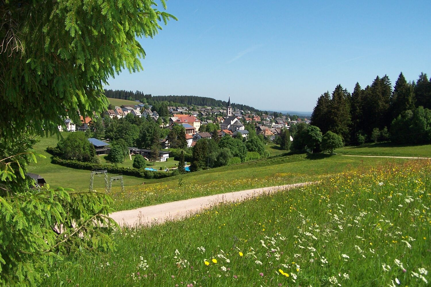 Schönwald im Schwarzwald