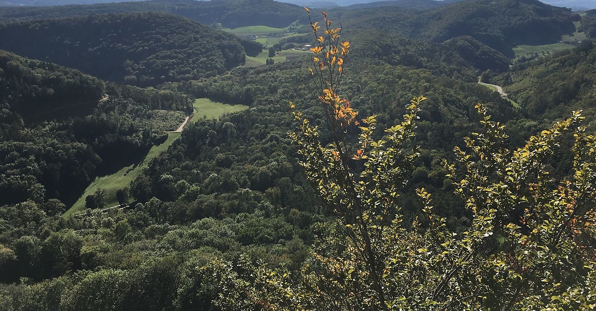 Geissberg Runde Jurapark CH BERGFEX Mountainbike Tour Aargau