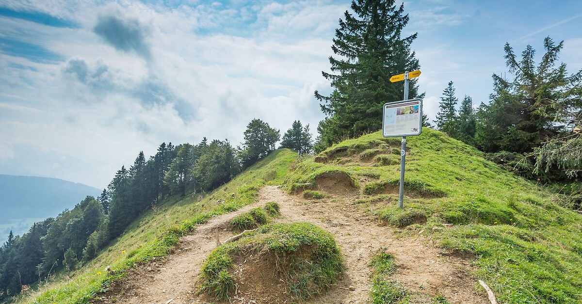 Wanderung Von W... - BERGFEX - Randonnée Pédestre - Itinéraire Suisse ...