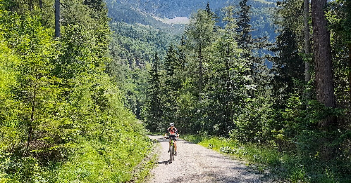 Tscher Steingraben Kreuz Bergfex Mountainbike Tour Nieder Sterreich