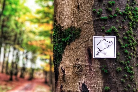 Wandern ist woanders....