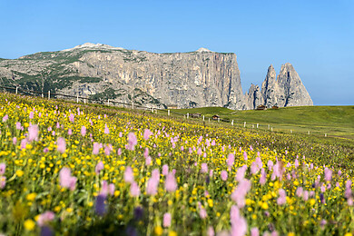Seiser Alm