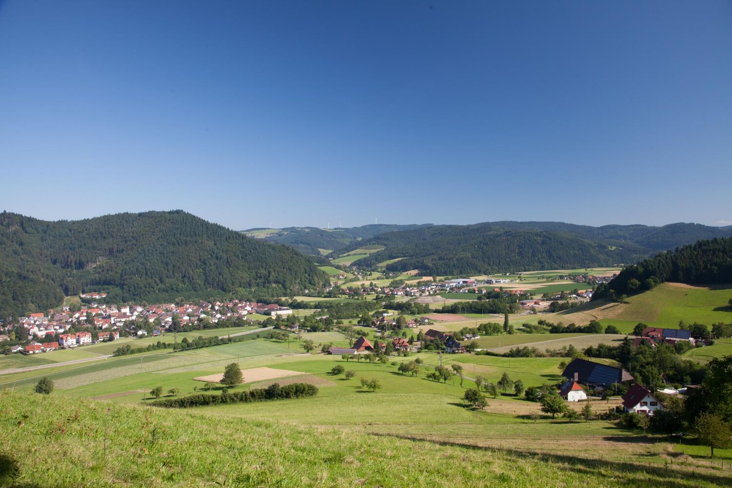 Gutach im Breisgau