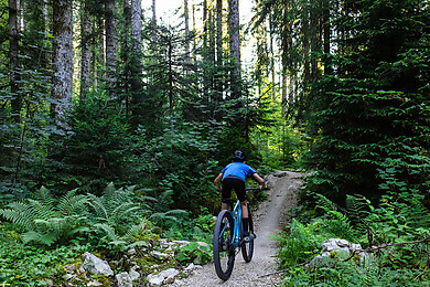 Lacs et Montagnes du Haut-Doubs