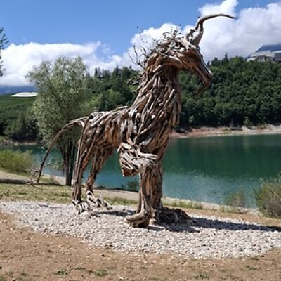 Avatar von Markus G 1