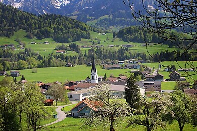Lingenau