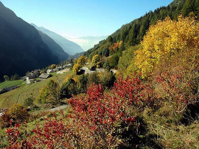 Bionaz