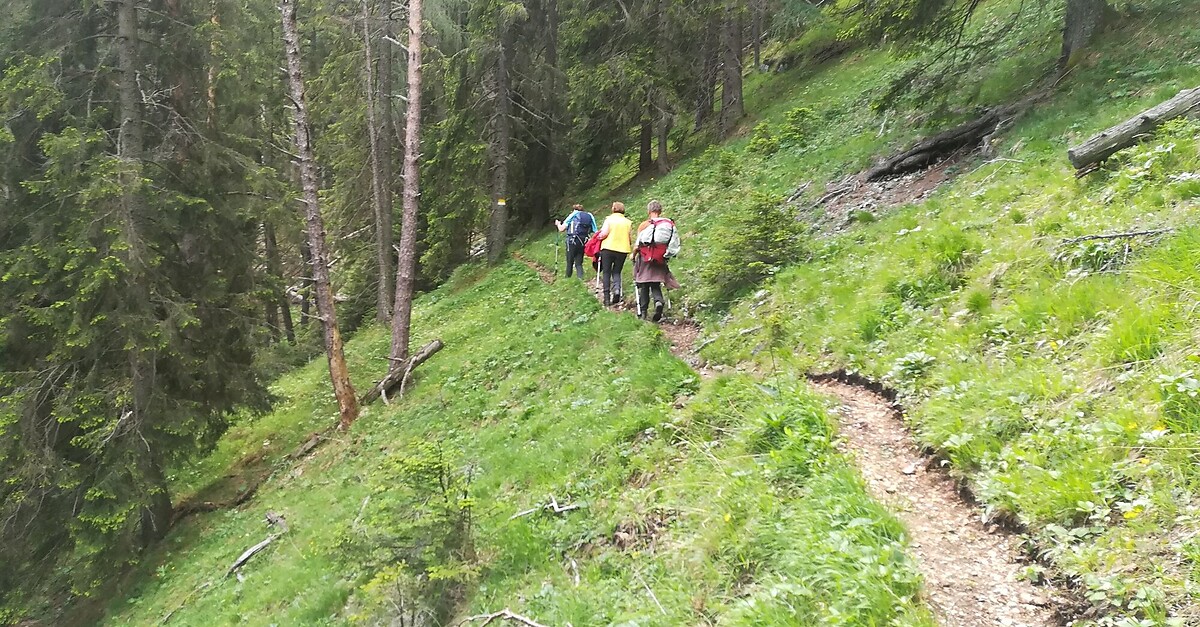 E05 Mariazeller Gründerweg Trofaiach - Mautern - BERGFEX - Wanderung ...