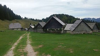 Bohinj - Zajamniki Alm