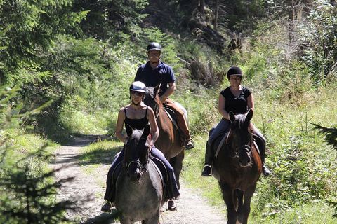 Reiten und Kutschenfahrten