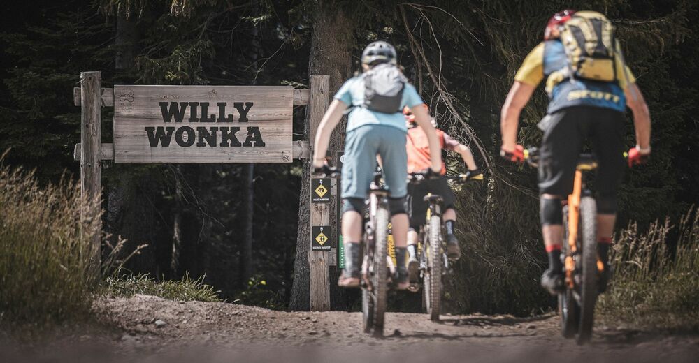 Willy Wonka - BERGFEX - Mountainbike - Tour Trento