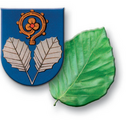 Логотип Buchkirchen