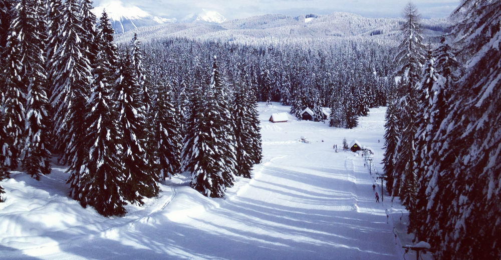 Plan skijaških staza Skijaško područje Pokljuka - Goreljek