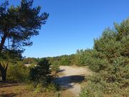 Sommerregion