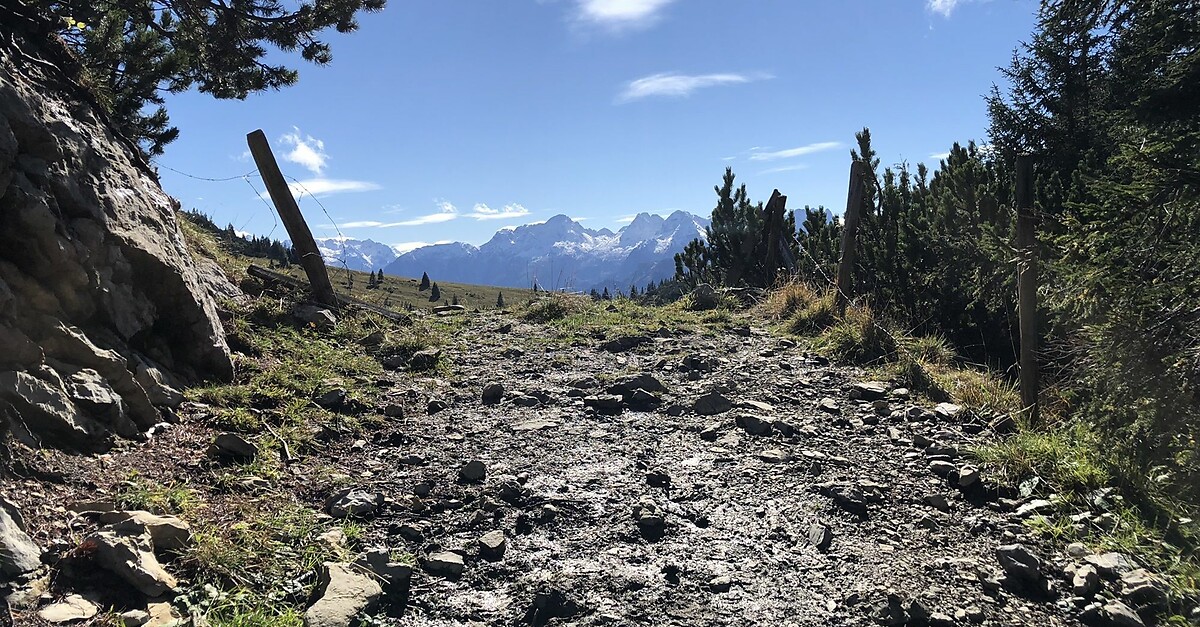 Heutal-Hochalm-Sonntagshorn - BERGFEX - Wanderung - Tour Salzburger Land