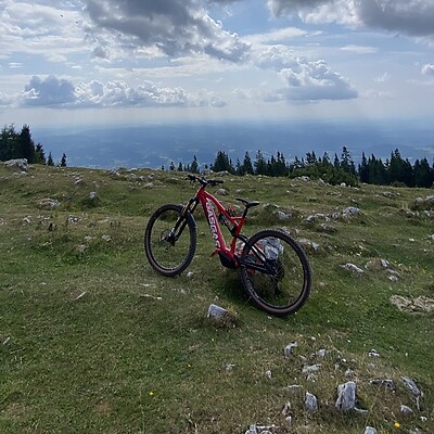 Avatar von Phips_Ort