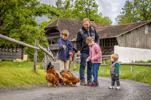 Open air museum Ballenberg