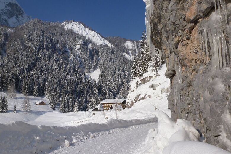 Gasthof Gosausee