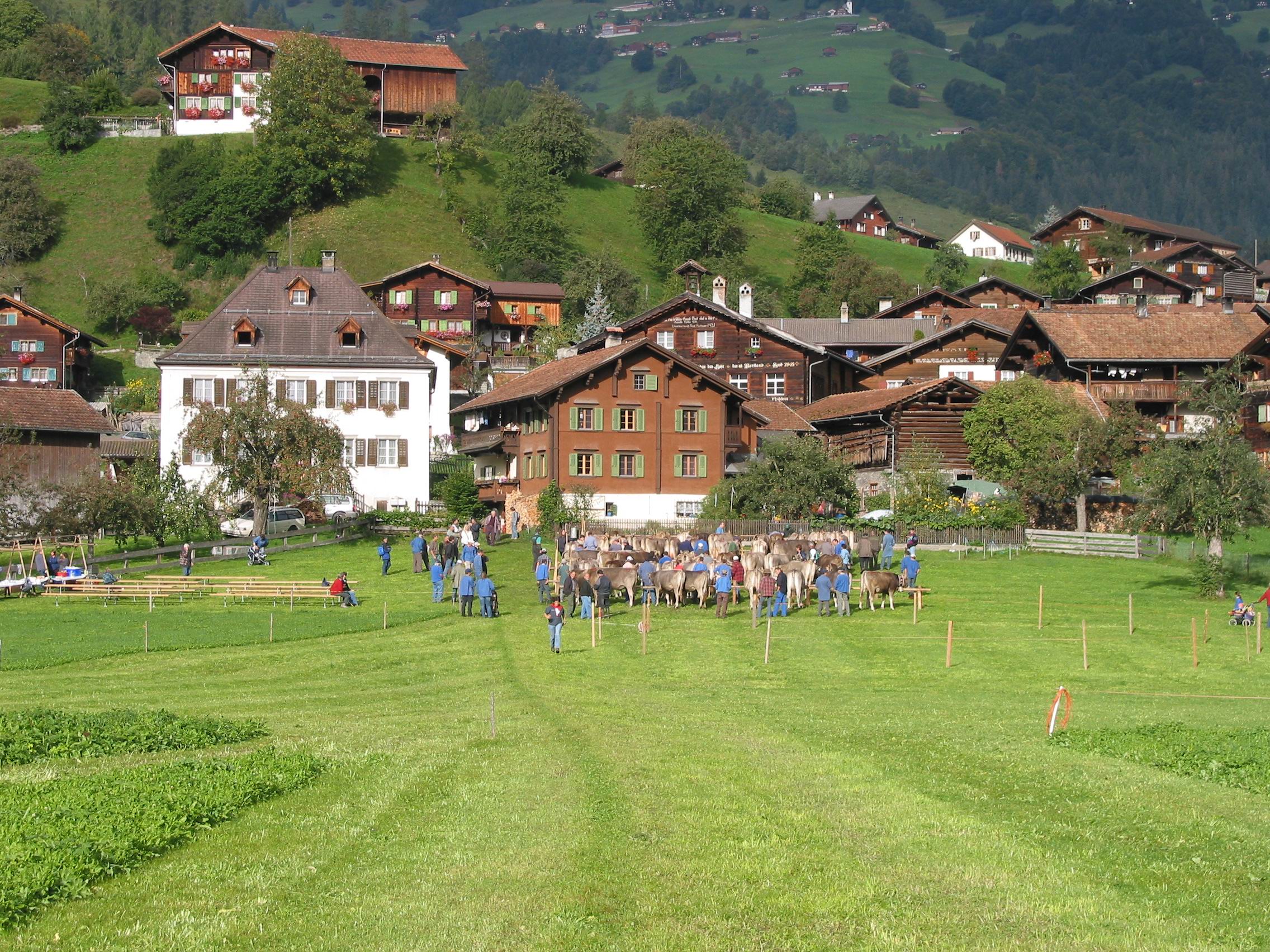 BERGFEX Panoramakarte Jenaz Karte Jenaz Alm Jenaz