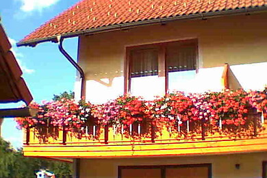 Gästehaus Kaufmann-Ritter