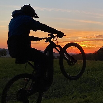 Avatar z Markus Springer