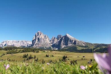 Seiser Alm
