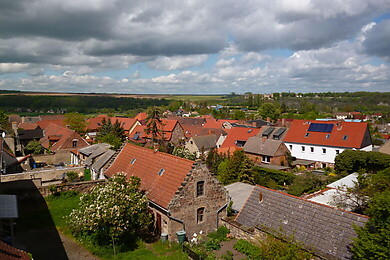 Nebra (Unstrut)