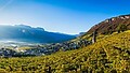 Region letni