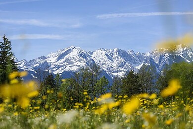 Oberau