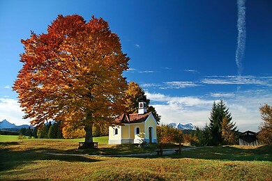 Krün