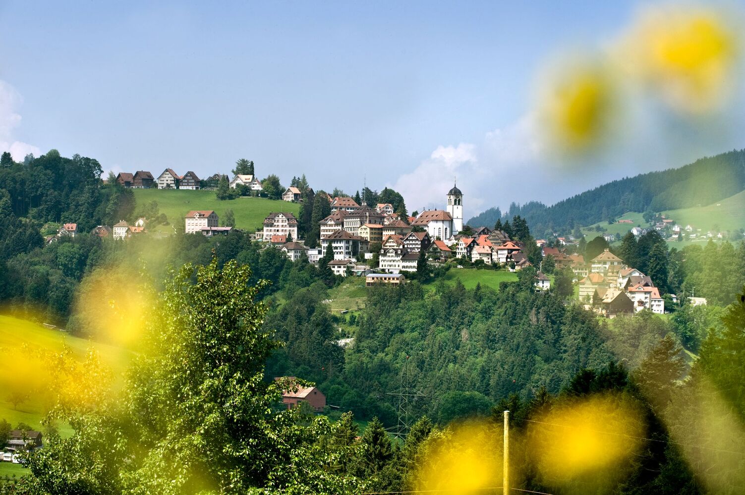 Trogen