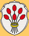 Логотип Einersheimer Terrassen-Freibad