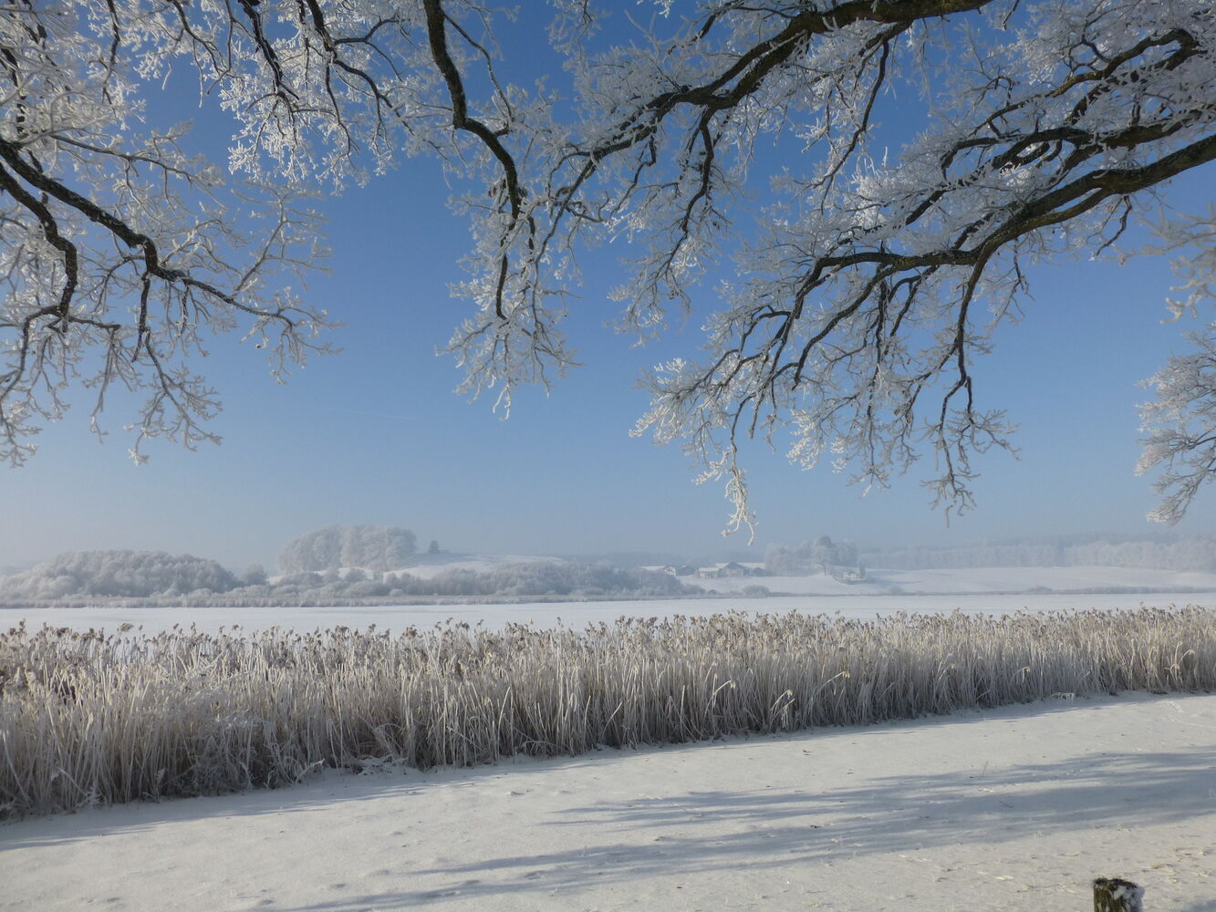 Ebersberger Grünes Land