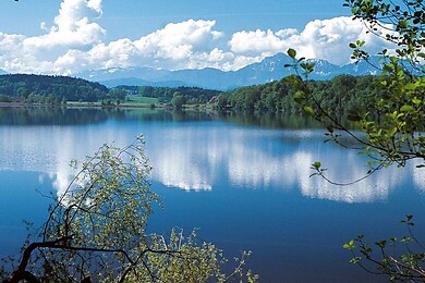 Laufen / Abtsdorfer See