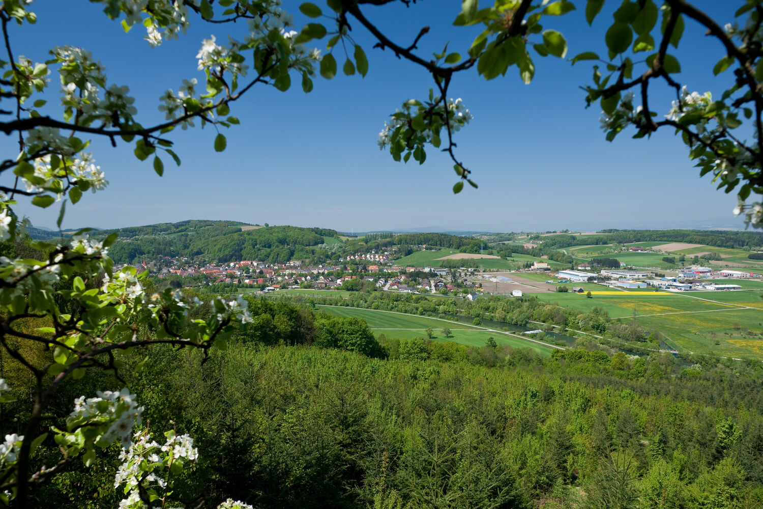 Wilhelmsburg