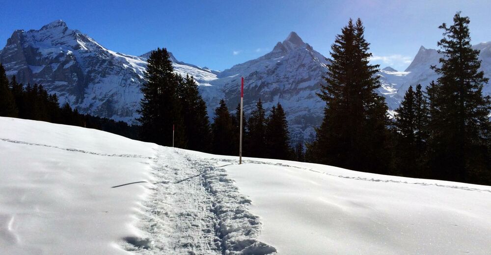 Panorama Trail Bergfex Schneeschuh Tour Berner Oberland