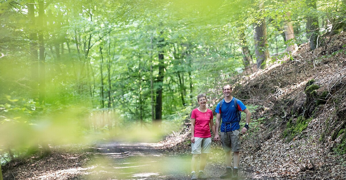 Wanderweg Im Wiehengebirge A L Bbecke Bergfex Wanderung Tour