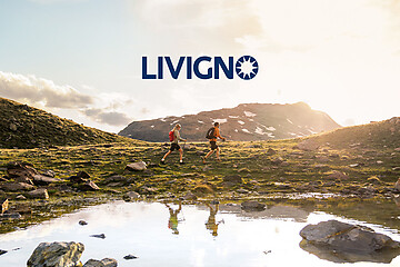Alpine energy at the highest level