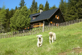 Logo Primushütte