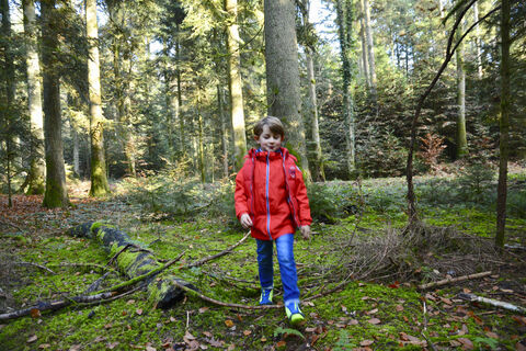 Walderlebnispfad Roggwil – Natur spielerisch entdecken