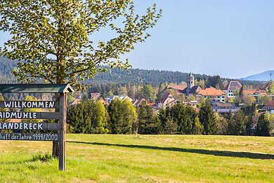 Haidmühle