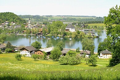 Mattsee