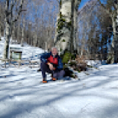 Avatar de Franco Bini