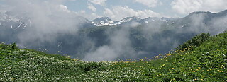 Hochwang