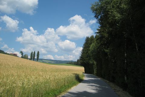 Kraftpfad Wenigzell
