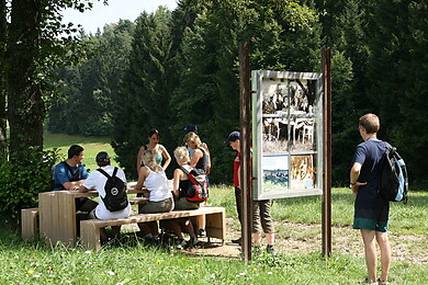 Sarleinsbach