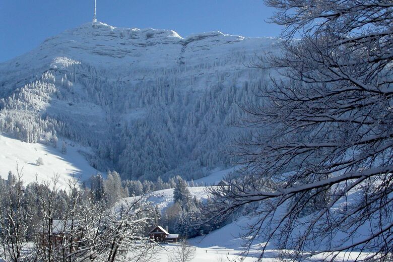 Seebodenalp