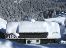 Logó Casa Alpina
